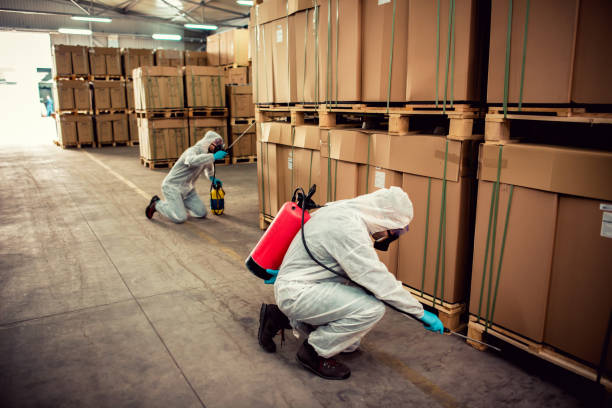 Best Rat Extermination Near Me  in Eunice, NM