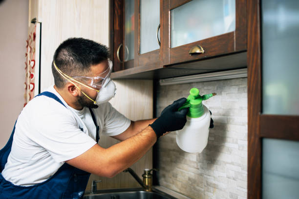 Best Pest Control Near Me  in Eunice, NM