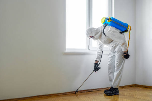 Best Pest Control for Businesses  in Eunice, NM