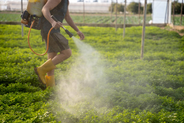 Best Exterminator Services  in Eunice, NM