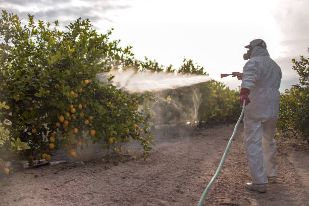 Best Best Pest Control Companies  in Eunice, NM